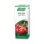 A.Vogel Uva-Ursi 50ml (Λοιμώξεις του Ουροποιητικού, Αντισηπτικό)
