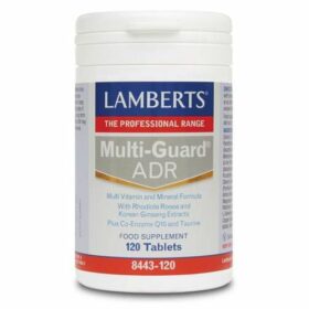Lamberts Multi Guard ADR 120tab (Πολυβιταμίνες)