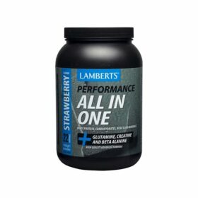 Lamberts Performance All In One Strawberry 1450gr