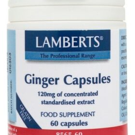 LAMBERTS Ginger Capsules 120mg 60 Caps