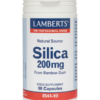 LAMBERTS Silica from Bamboo Gum 90 caps