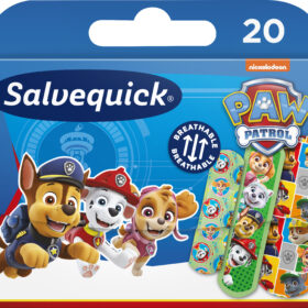 SALVEQUICK PAW PATROL 20PCS